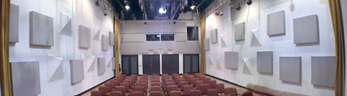 Cal Arts, Roy O. Disney Hall